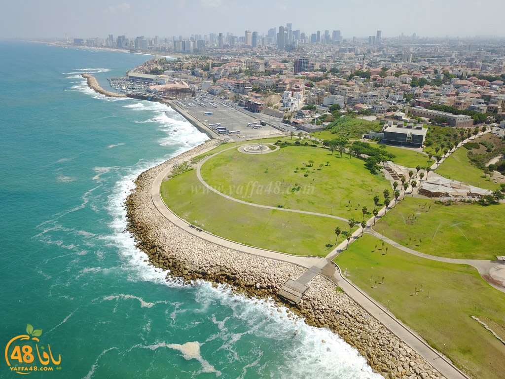 mohamed 3ayesh (2).JPG